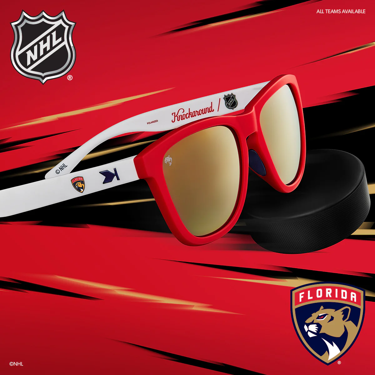 Florida Panthers - Image 2