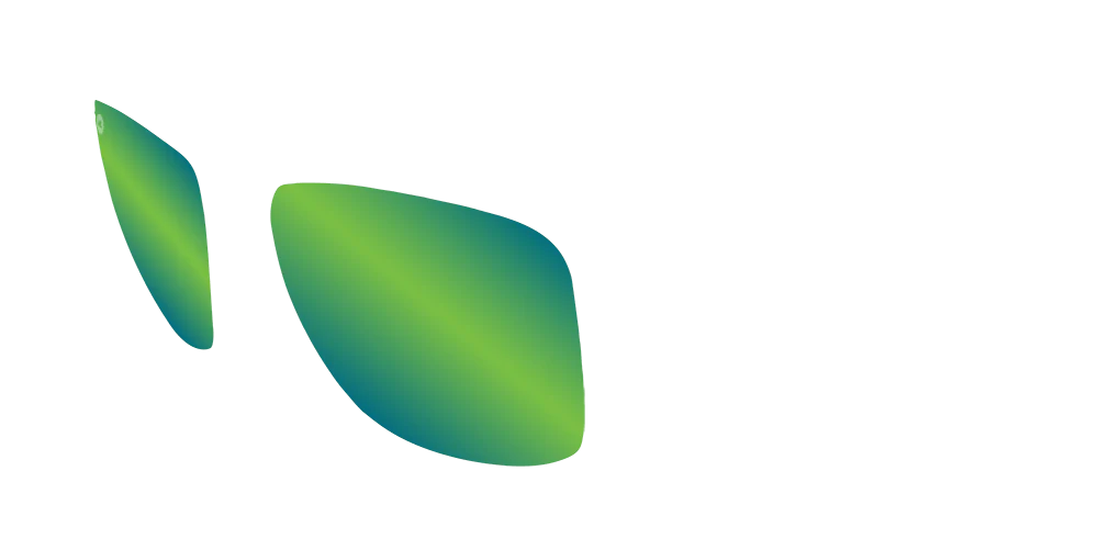 Knockaround Torrey Pines - Custom Lens - Green Moonshine POLARIZED